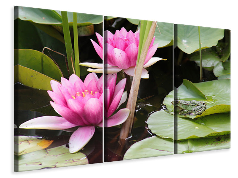 3-piece-canvas-print-the-frog-in-the-protection-of-water-lilies