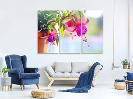 3-piece-canvas-print-the-fuchsias