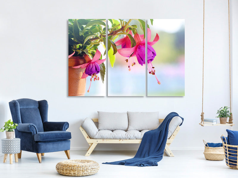 3-piece-canvas-print-the-fuchsias