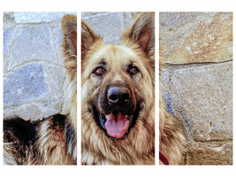 3-piece-canvas-print-the-german-shepherd