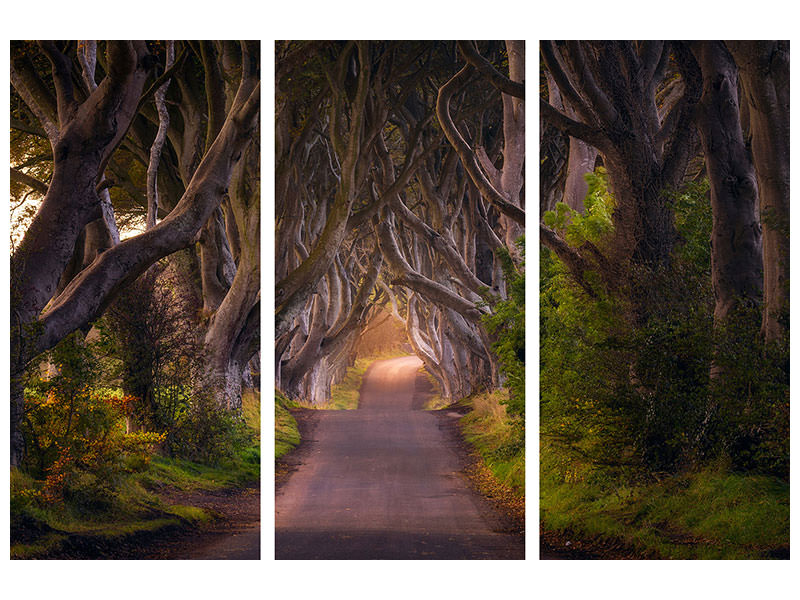 3-piece-canvas-print-the-glowing-hedges