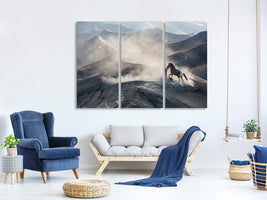 3-piece-canvas-print-the-horseman