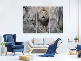 3-piece-canvas-print-the-lion-and-his-kingdom