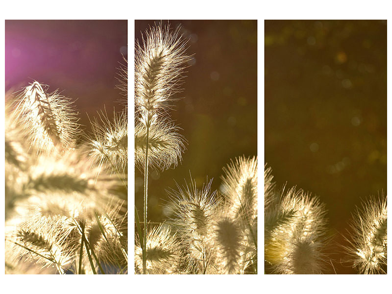 3-piece-canvas-print-the-ornamental-grass