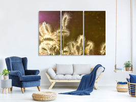 3-piece-canvas-print-the-ornamental-grass