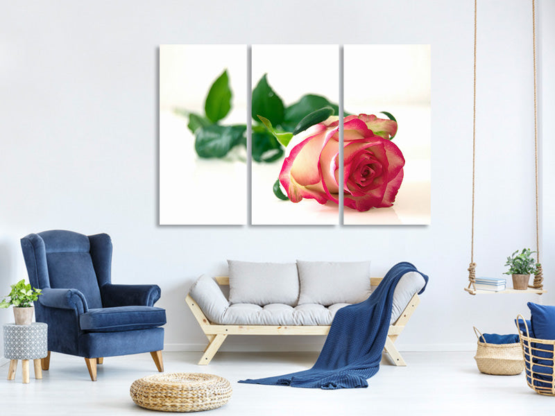 3-piece-canvas-print-the-proud-rose