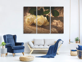 3-piece-canvas-print-the-purity-of-the-roses