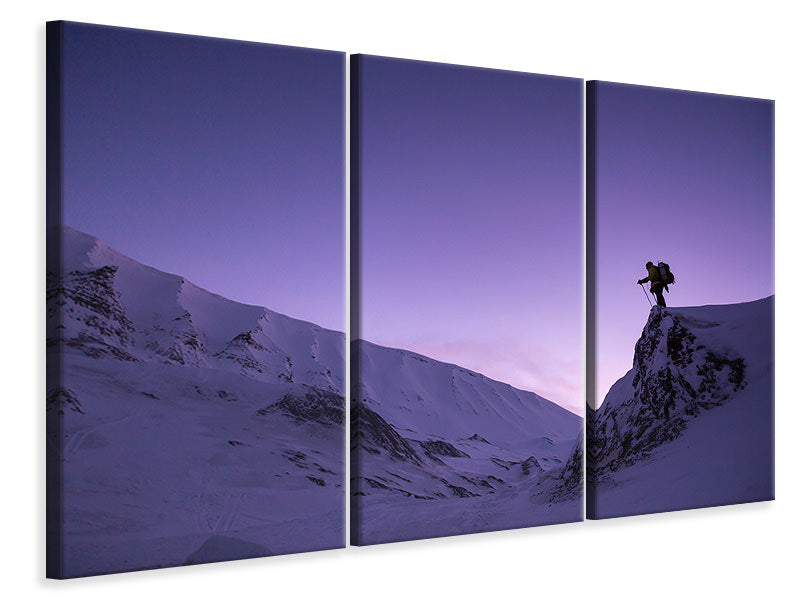 3-piece-canvas-print-the-snowwalker