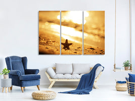 3-piece-canvas-print-the-starfish