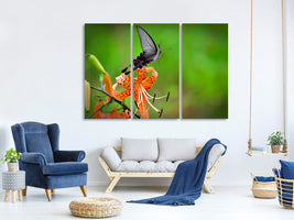 3-piece-canvas-print-the-tiger-lily-and-the-butterfly