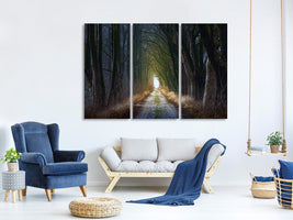 3-piece-canvas-print-the-tree-avenue