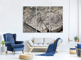 3-piece-canvas-print-the-tree-rings