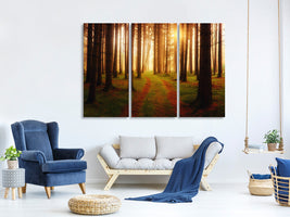 3-piece-canvas-print-the-unknown-way