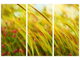 3-piece-canvas-print-the-wheat-field