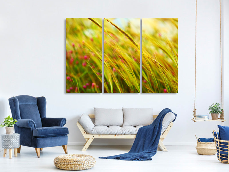 3-piece-canvas-print-the-wheat-field