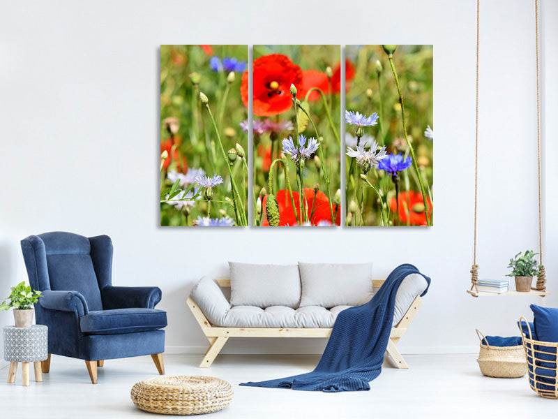 3-piece-canvas-print-the-wild-poppy-xl