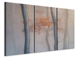 3-piece-canvas-print-thin-air