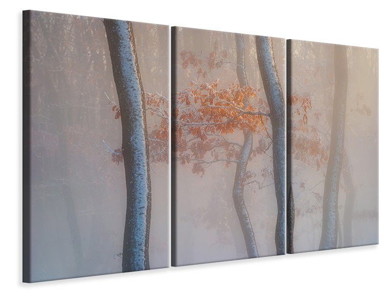 3-piece-canvas-print-thin-air