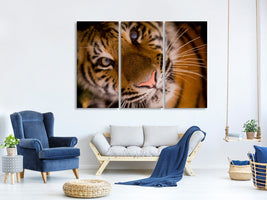 3-piece-canvas-print-tiger-face