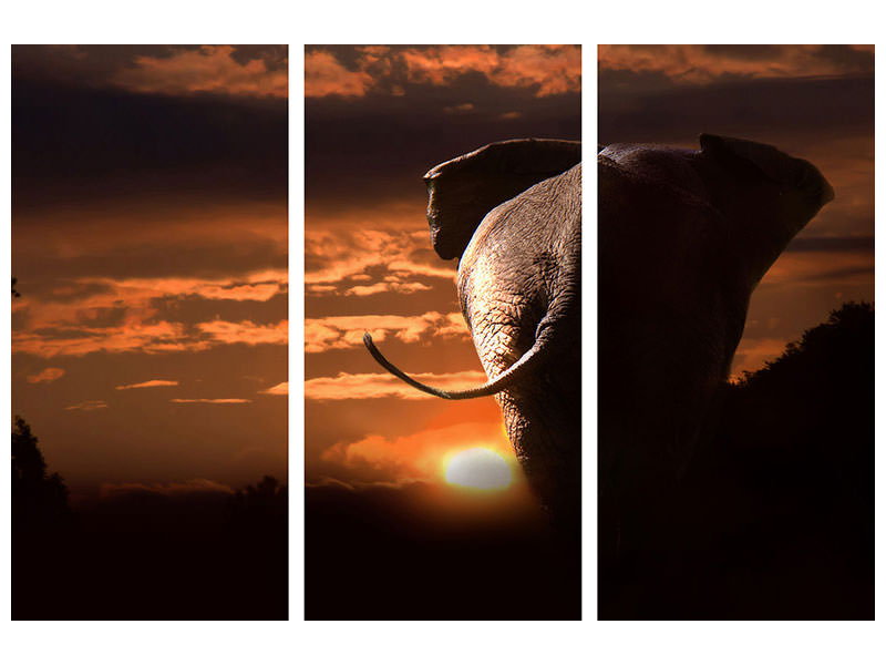 3-piece-canvas-print-towards-the-sunset