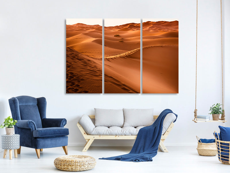 3-piece-canvas-print-traces-in-the-desert