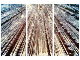 3-piece-canvas-print-trees-in-the-snow