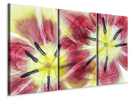 3-piece-canvas-print-tulips