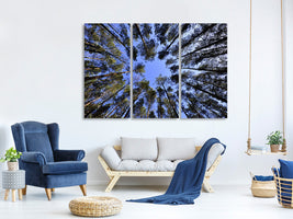 3-piece-canvas-print-under-high-treetops