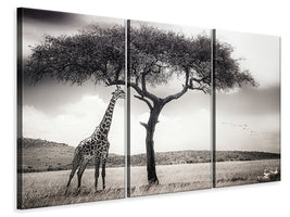 3-piece-canvas-print-under-the-african-sun