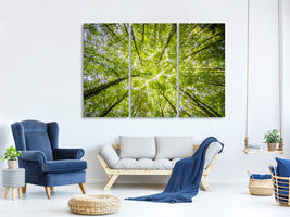 3-piece-canvas-print-under-the-treetops