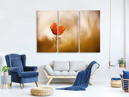 3-piece-canvas-print-untitled-xxxi