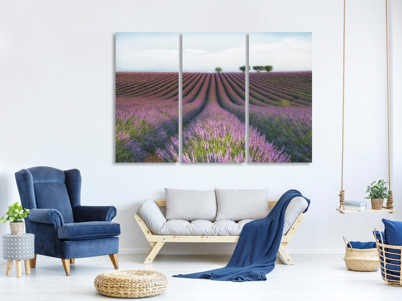 3-piece-canvas-print-velours-de-lavender