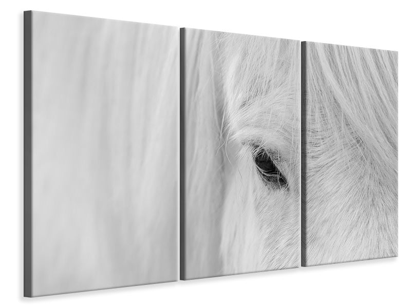 3-piece-canvas-print-whisper-of-iceland