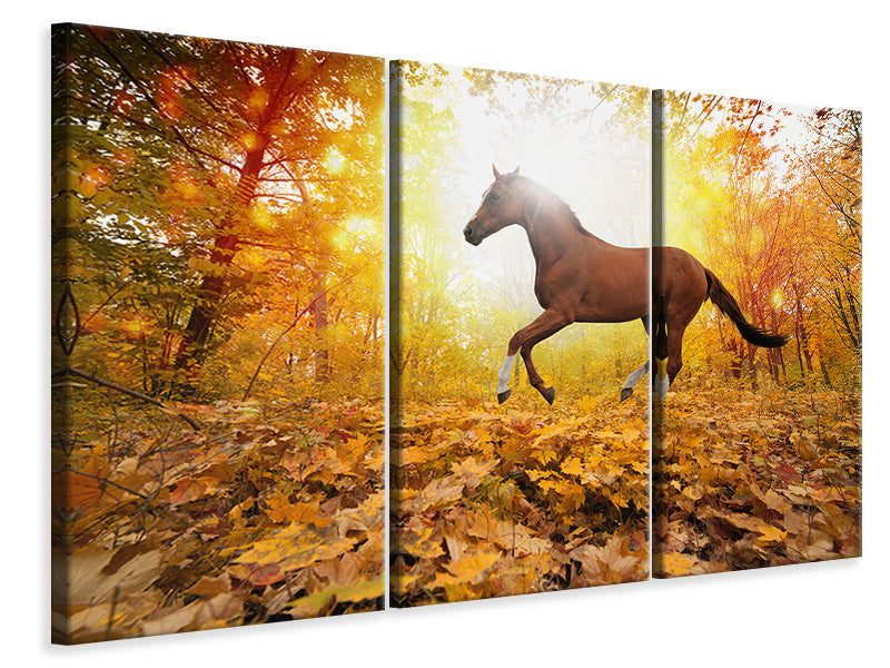 3-piece-canvas-print-whole-blood-in-autumn-forest