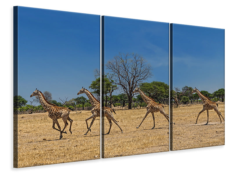 3-piece-canvas-print-wild-and-free