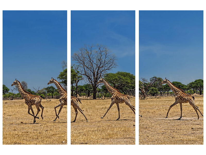 3-piece-canvas-print-wild-and-free