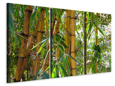 3-piece-canvas-print-wild-bamboo