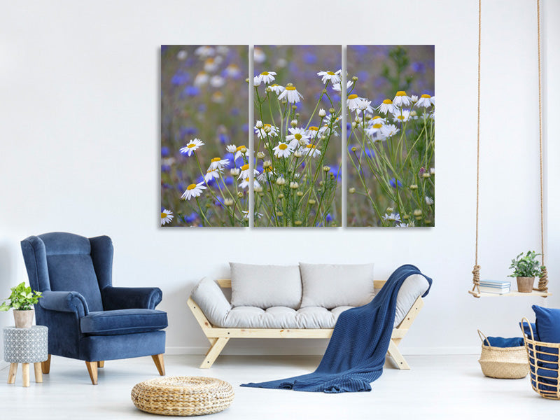 3-piece-canvas-print-wild-flower-meadow