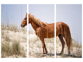 3-piece-canvas-print-wild-spanish-mustang