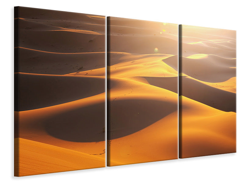 3-piece-canvas-print-wilderness-journey