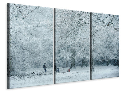 3-piece-canvas-print-winter-dream