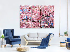 3-piece-canvas-print-wonderful-japanese-cherry