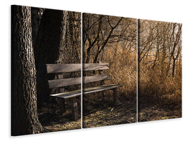 3-piece-canvas-print-wooden-bench-in-the-forest