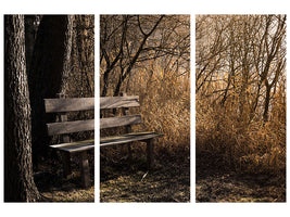 3-piece-canvas-print-wooden-bench-in-the-forest