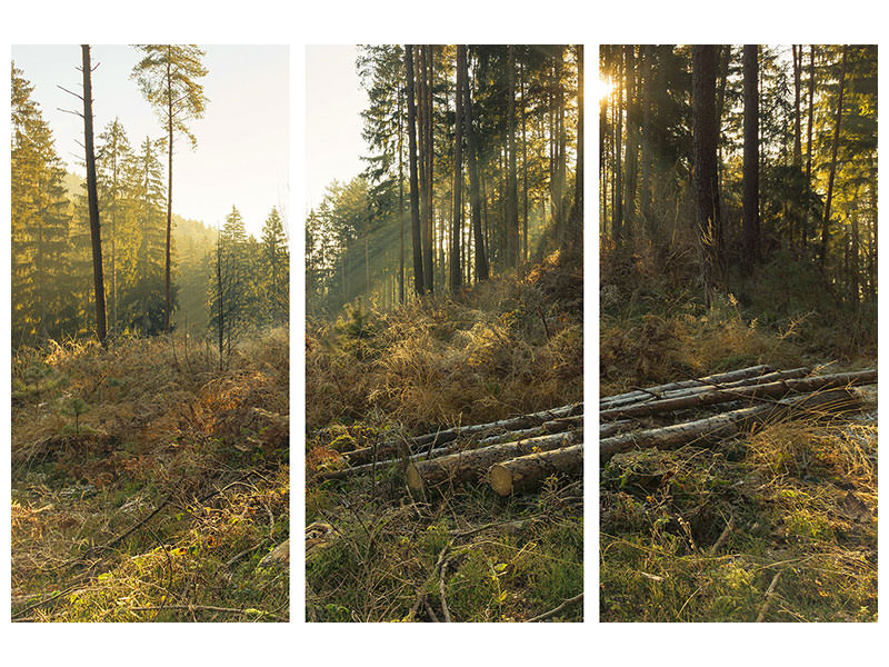 3-piece-canvas-print-working-in-the-woods