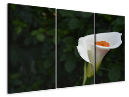 3-piece-canvas-print-xl-calla-in-white