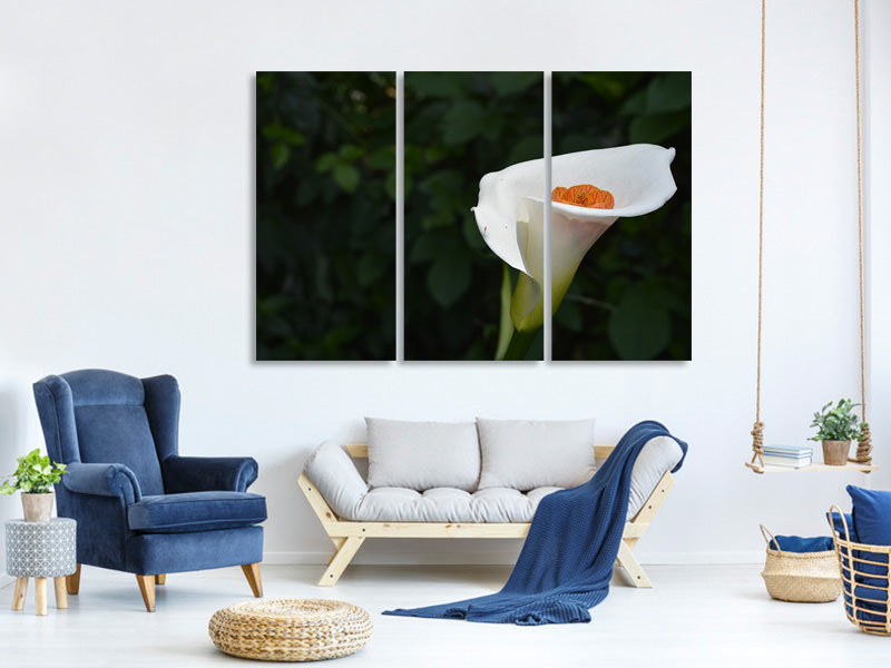 3-piece-canvas-print-xl-calla-in-white