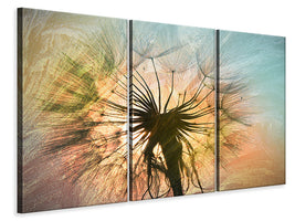 3-piece-canvas-print-xxl-dandelion