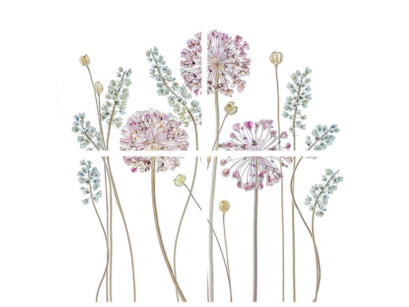 4-piece-canvas-print-allium-a