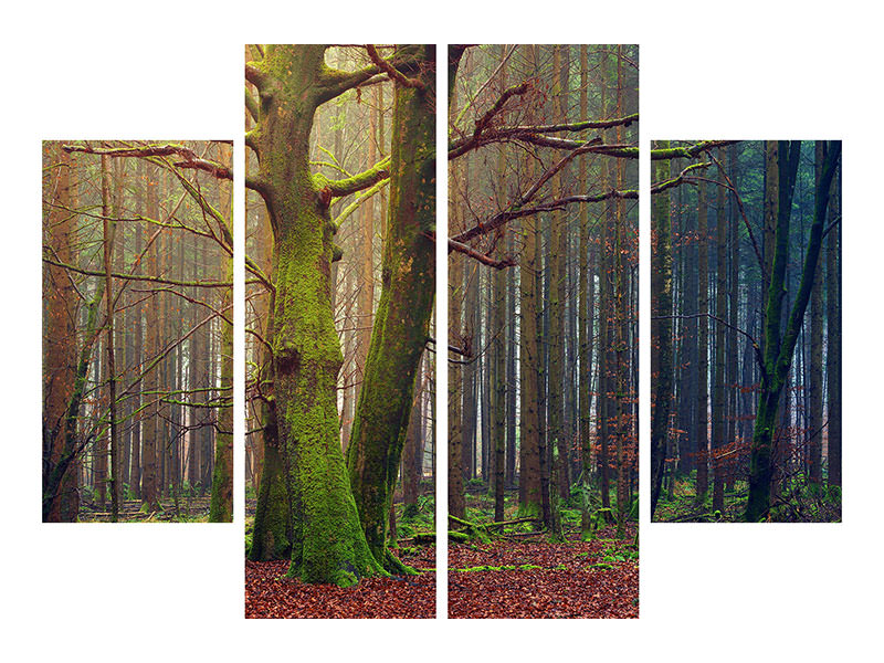 4-piece-canvas-print-alone-in-the-woods